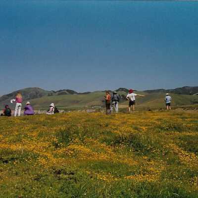 View from Pecho Coast Trail above Port San Luis Pier, The Nature Conservancy hike, in photo album from Joyce Hall - Undated 3.5" x 5" color photograph