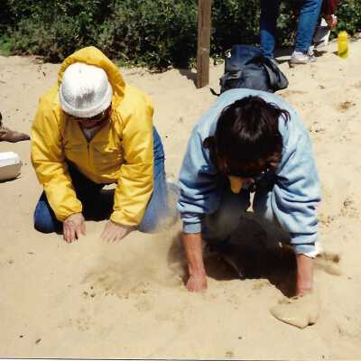 Educational Hike at Oso Flaco with Kathleen Goddard Jones, in photo album - Undated 3.5" x 5" color photograph