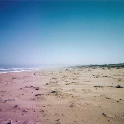 Dunes landscspe with ocean, 8/29/2005 - 5" x 7" color photograph