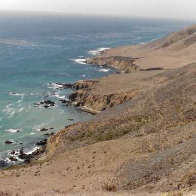 Landscape and Plants of Coastline, The Nature Conservancy - Undated 4" x 6" color photograph