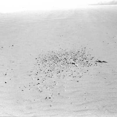 Mobil Coastal Preserve, Guadalupe- Nipomo Dunes Preserve, Febuary 1995 - 3.5" x 5" black and white photograph