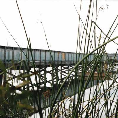 Construction of boardwalk at Oso Flaco Lake, in photo album - Undated 3.5" x 5" color photograph