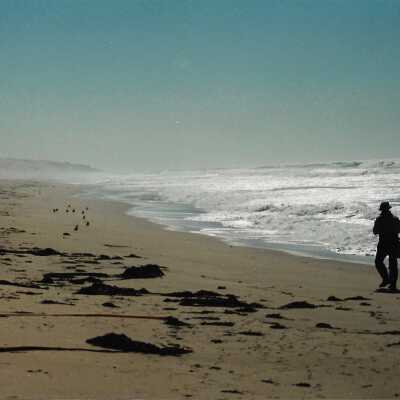 Mobil Coastal Preserve, Guadalupe- Nipomo Dunes Preserve, Febuary 1995 - 4" x 6" color photograph