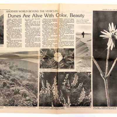 "Dunes are alive with color, beauty" Article by Mary McAlister, Photos by Jim Miner, Layout by Kathy Richardson, Photo of Kathleen Goddard Jones included, Friday, June 7, Five Cities Times-Press-Recorder, Arroyo Grande, CA - 1985