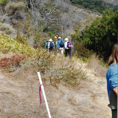 Pecho Coast Trail above Port San Luis Pier, The Nature Conservancy hike, in photo album from Joyce Hall - Undated 3.5" x 5" color photograph