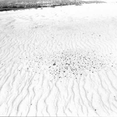 Mobil Coastal Preserve, Guadalupe- Nipomo Dunes Preserve, Febuary 1995 - 3.5" x 5" black and white photograph
