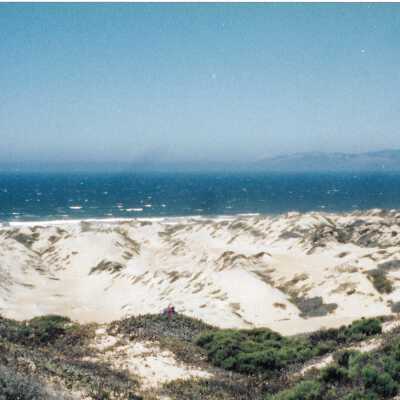 Hikers in Guadalupe- Nipomo Dunes lead by Kathleen Goddard Jones - Undated 4" x 11.5" color photograph