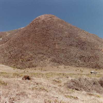 Landscape and Plants of Coastline, The Nature Conservancy - Undated 4" x 6" color photograph