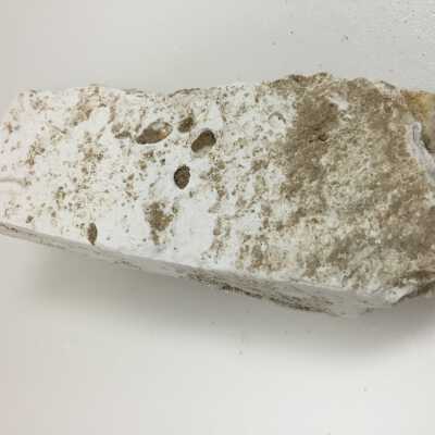 Parts of Albin's (Shpinx) body, no head attached, Ten Commandments