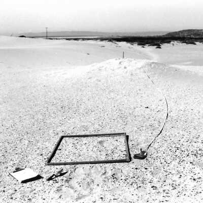Mobil Coastal Preserve, Guadalupe- Nipomo Dunes Preserve, Febuary 1995 - 3.5" x 5" black and white photograph