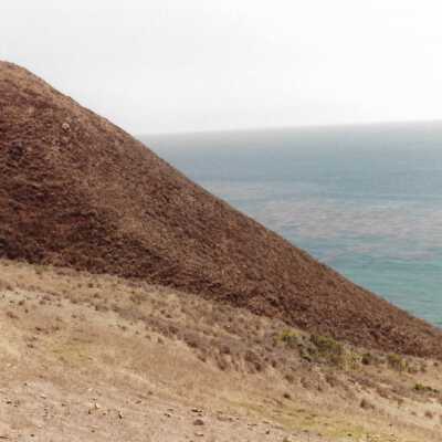 Landscape and Plants of Coastline, The Nature Conservancy - Undated 4" x 6" color photograph