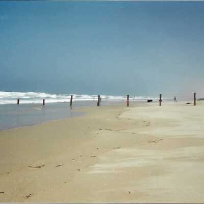 Oceano Dunes SVRA landscape with fence, in photo album - Undated 3.5" x 5" color photograph