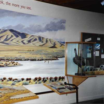 The Nature Conservancy exhibits - Undated 4" x 6" color photograph