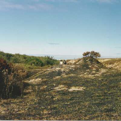 Wooden walkway and landscape of Dunes at Oso Flaco Lake, in photo album - Undated 3.5" x 5" color photograph