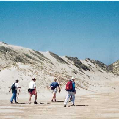 Hikers in Guadalupe- Nipomo Dunes lead by Kathleen Goddard Jones - Undated 4" x 11.5" color photograph
