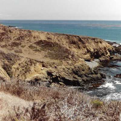 Landscape and Plants of Coastline, The Nature Conservancy - Undated 4" x 6" color photograph