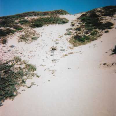 Dunes landscspe, 8/29/2005 - 5" x 7" color photograph