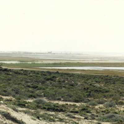 Landscape, 6/4/1987 - 4" x 5" color photograph