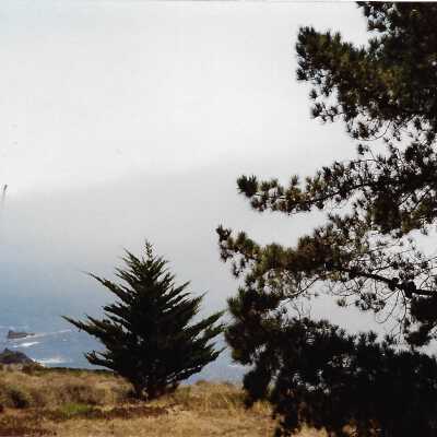 View from Point San Luis Lighthouse, The Nature Conservancy hike, in photo album from Joyce Hall - Undated 3.5" x 5" color photograph