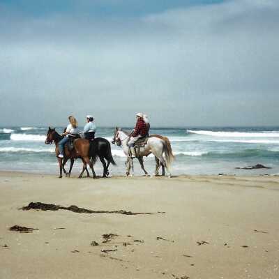 Oceano Dunes SVRA landscape with horseback riders, in photo album - Undated 3.5" x 5" color photograph