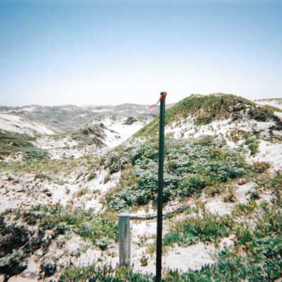 Surevy marker in Dunes, 8/29/2005 - 5" x 7" color photograph