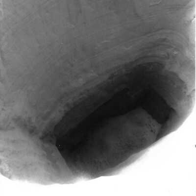 Mobil Coastal Preserve, Guadalupe- Nipomo Dunes Preserve, Febuary 1995 - 3.5" x 5" black and white photograph
