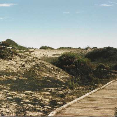 Wooden walkway and landscape of Dunes at Oso Flaco Lake, in photo album - Undated 3.5" x 5" color photograph
