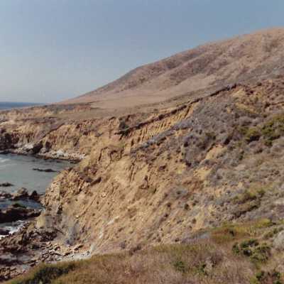Landscape and Plants of Coastline, The Nature Conservancy - Undated 4" x 6" color photograph