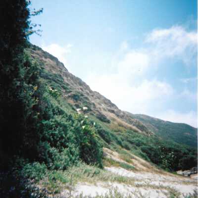 Dunes landscspe, 8/29/2005 - 5" x 7" color photograph