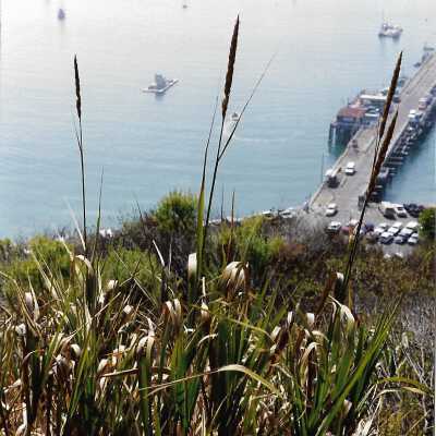 Pecho Coast Trail above Port San Luis Pier, The Nature Conservancy hike, in photo album from Joyce Hall - Undated 3.5" x 5" color photograph