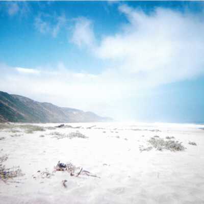 Dunes landscspe with ocean, 8/29/2005 - 5" x 7" color photograph