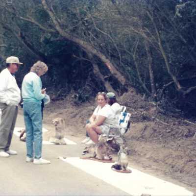 Educational event at Oso Flaco Lake Education Center - Undated 4" x 11.5" color photograph