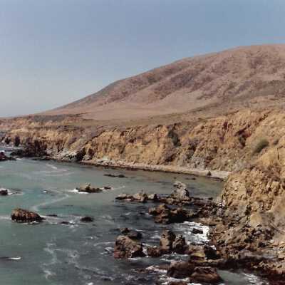 Landscape and Plants of Coastline, The Nature Conservancy - Undated 4" x 6" color photograph