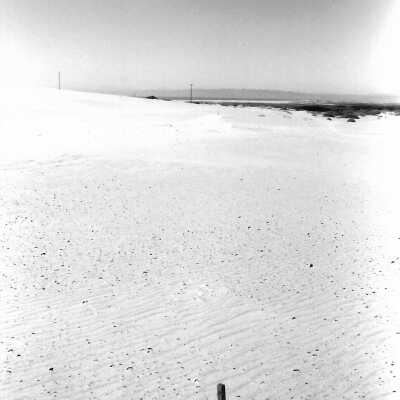 Mobil Coastal Preserve, Guadalupe- Nipomo Dunes Preserve, Febuary 1995 - 3.5" x 5" black and white photograph