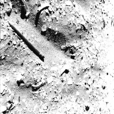 Mobil Coastal Preserve, Guadalupe- Nipomo Dunes Preserve, Febuary 1995 - 3.5" x 5" black and white photograph
