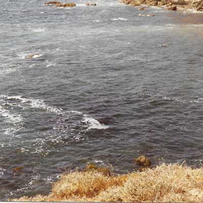 View from Pecho Coast Trail above Port San Luis Pier, The Nature Conservancy hike, in photo album from Joyce Hall - Undated 3.5" x 5" color photograph