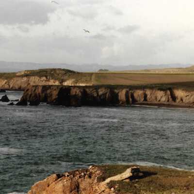 Coastal Landscape Photography, in photo album - Undated 3.5" x 5" color photograph