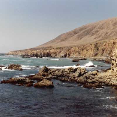 Landscape and Plants of Coastline, The Nature Conservancy - Undated 4" x 6" color photograph
