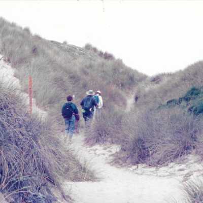 Hikers in Dunes, Note on folder: "removed from display in storage in August 2016" - Undated 4" x 11.5" color photograph