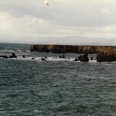 Coastal Landscape Photography, in photo album - Undated 3.5" x 5" color photograph