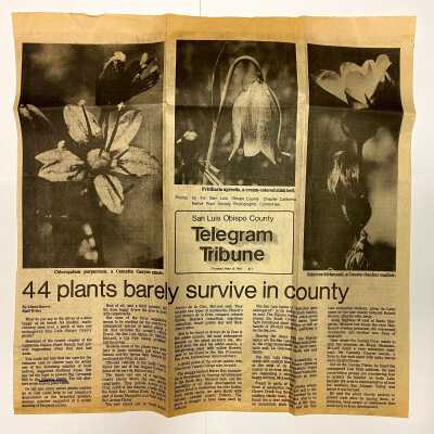 "The dunes revisited" - San Luis Obispo County Telegram-Tribune article - January 4 - 1982