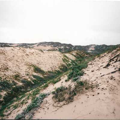 Mobil Coastal Preserve, Guadalupe- Nipomo Dunes Preserve, Febuary 1995 - 4" x 6" color photograph