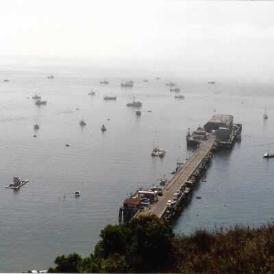 Port San Luis Pier from Pecho Coast Trail, The Nature Conservancy hike, in photo album from Joyce Hall - Undated 3.5" x 5" color photograph