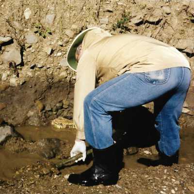 Pecho Coast Trail, Fossil hunting, The Nature Conservancy, 2/1/1993 - 3.5" x 5" color photograph
