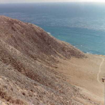 Landscape and Plants of Coastline, The Nature Conservancy - Undated 4" x 6" color photograph