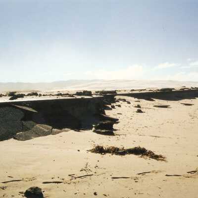 Guadalupe Dunes Preserve aka Rancho Guadalupe Beach County Park