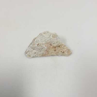 Hind quarter of sphinx, Ten Commandments