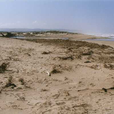 Oso Flaco Lake Color Photograph