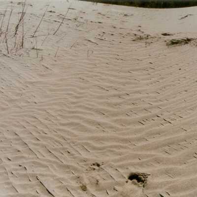 Oso Flaco Lake Color Photograph