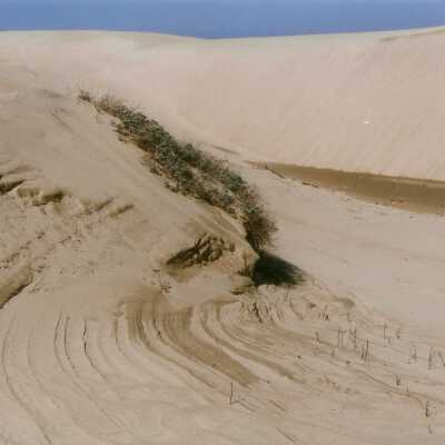 Oso Flaco Lake Color Photograph